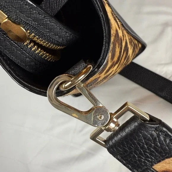 Kate‎ Spade Run Wild Leopard Hayden Cat Purse Bag Dani Brighton Black Cat Wallet